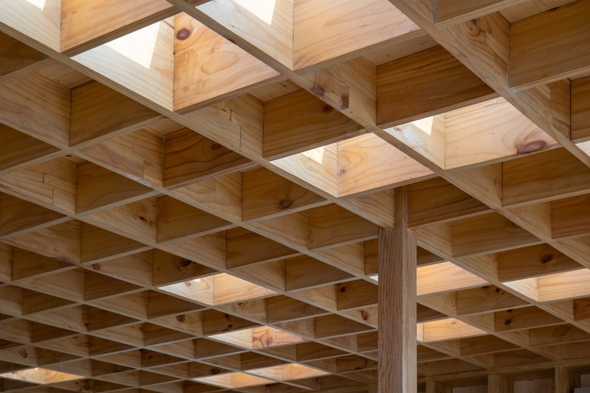 z4285279491432_4d92c57b4887302c66b46abf095f2c7f-1200x800