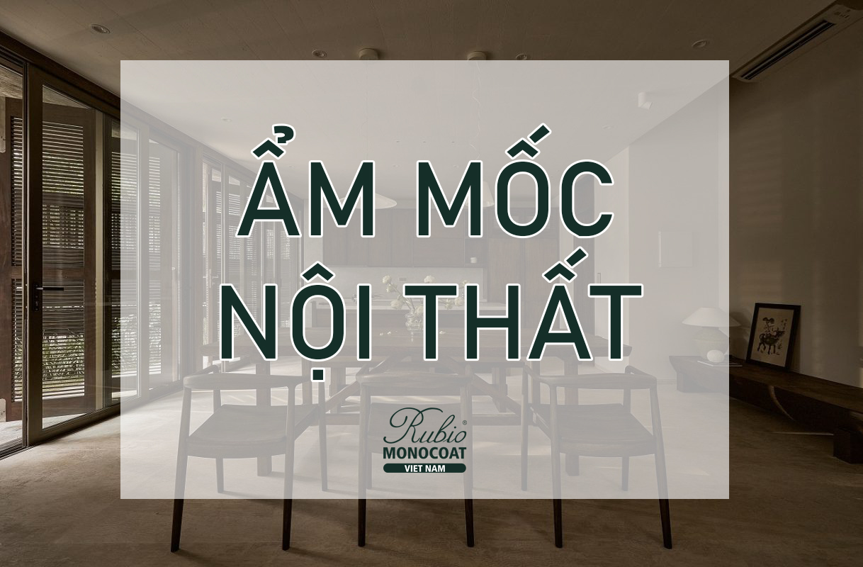 ẩm mốc nội thất