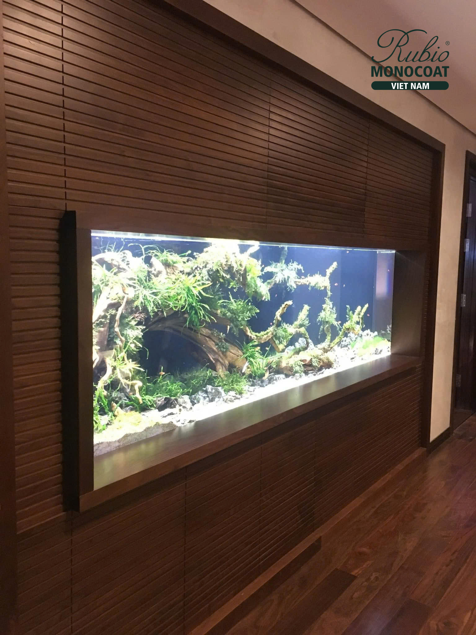 vách gỗ óc chó dùng dầu lau gỗ Rubio Monocoat màu chocolate