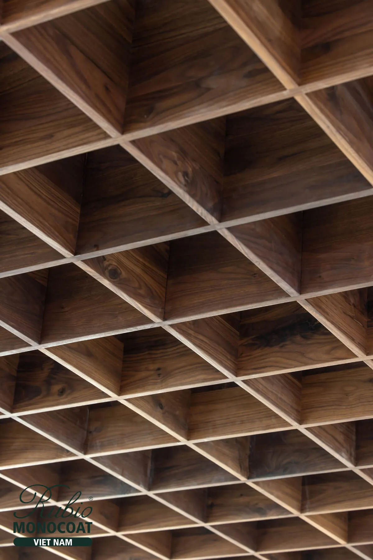 dầu lau gỗ nội thất 2C Pure x gỗ Óc chó 10