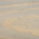 Dầu lau gỗ nội thất 2C màu Gris Belge trên gỗ Thông