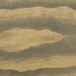 Dầu lau gỗ nội thất 2C màu Savanna trên gỗ Thông