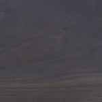 Dầu lau gỗ nội thất 2C màu Midnight Indigo trên gỗ Óc chó