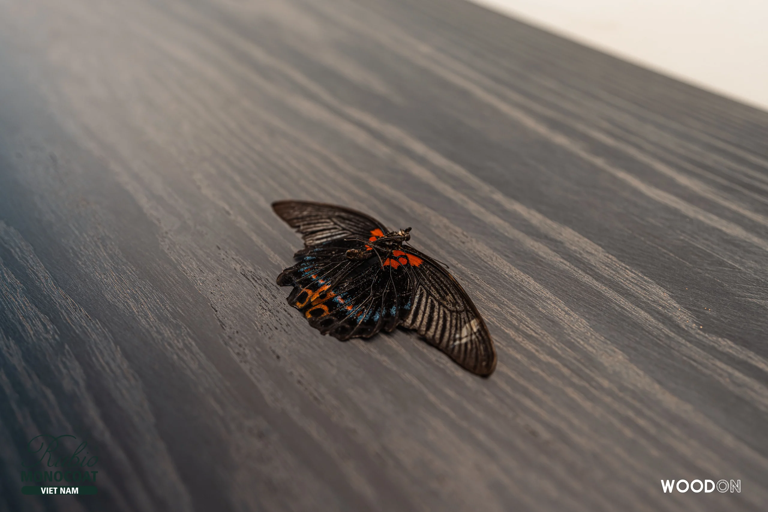 dầu gỗ nội thất và ngoại thất rubio monocoat