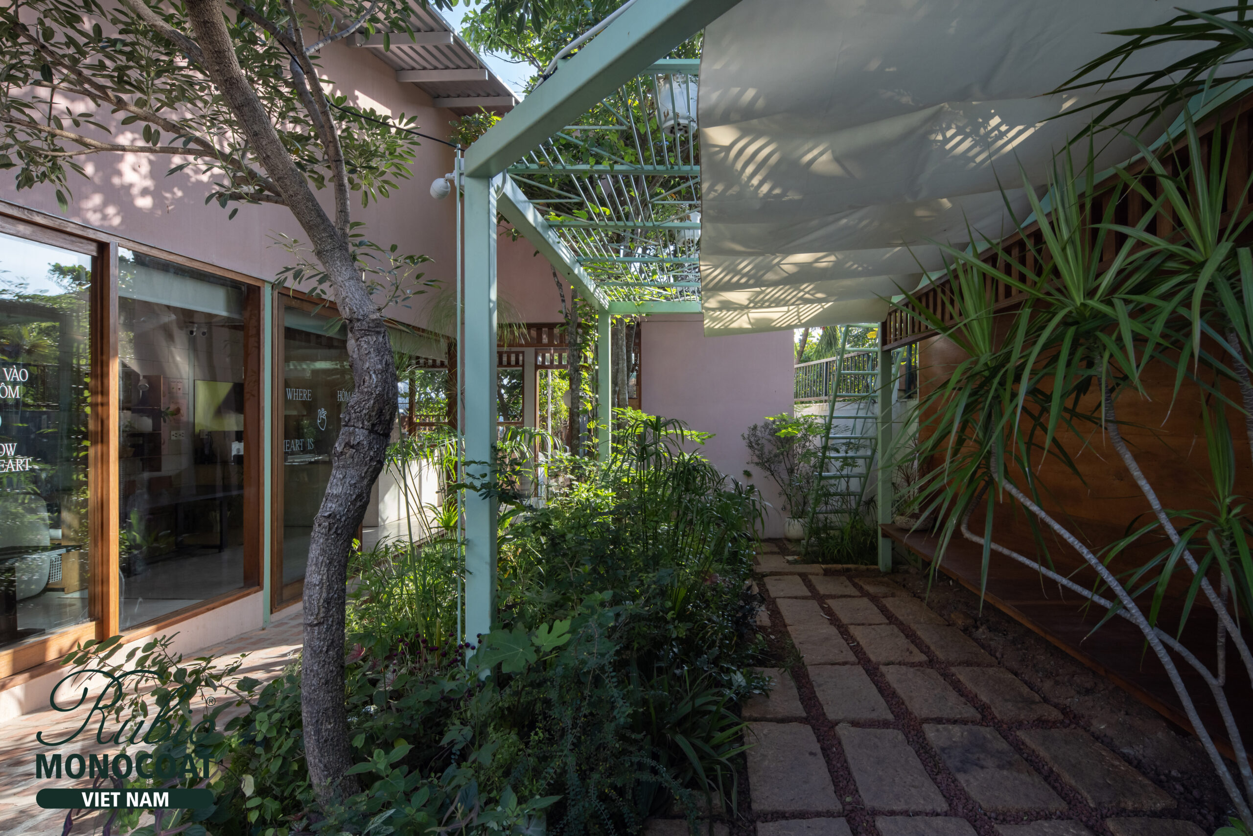 dầu lau gỗ - dino vũ