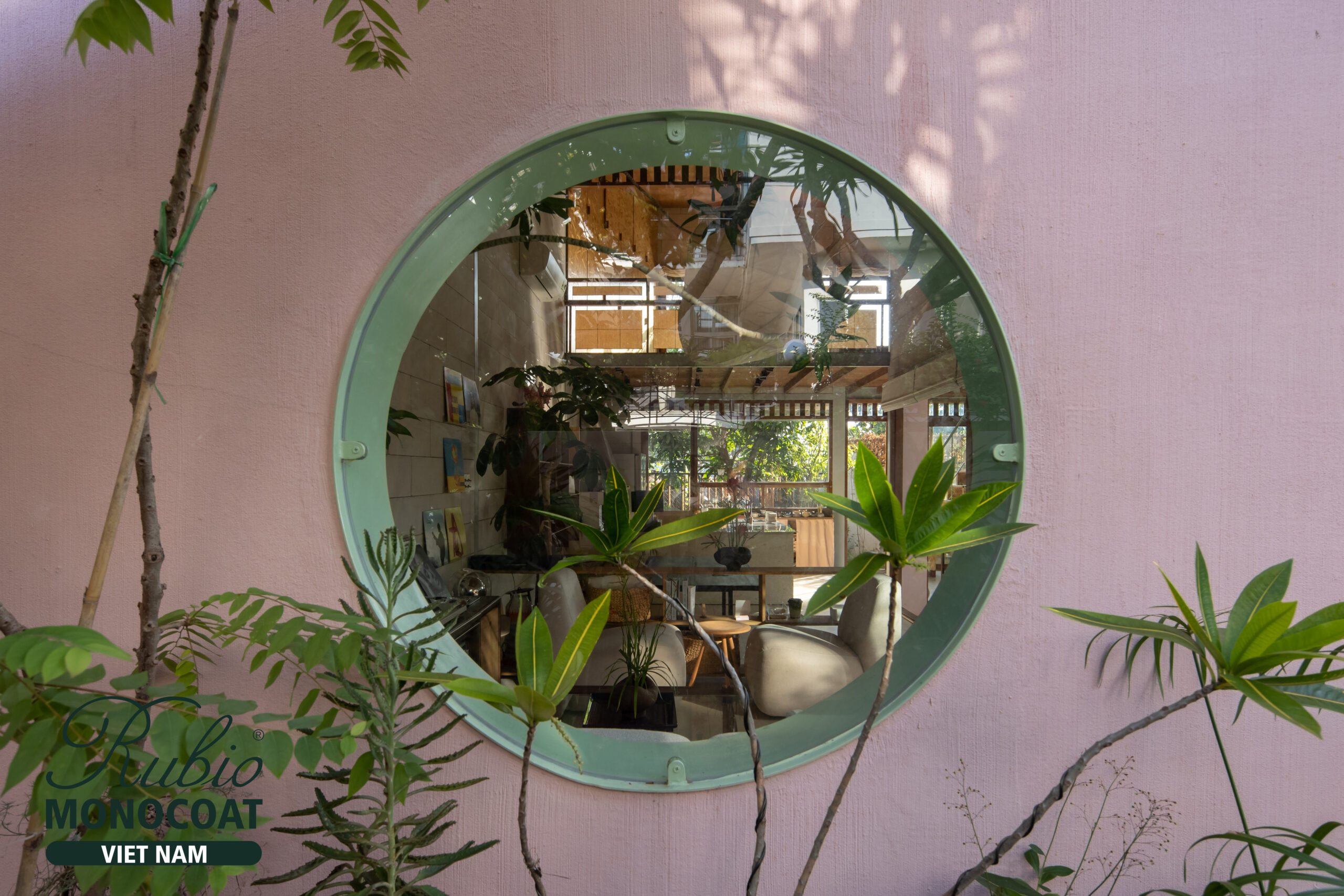 dầu lau gỗ - dino vũ