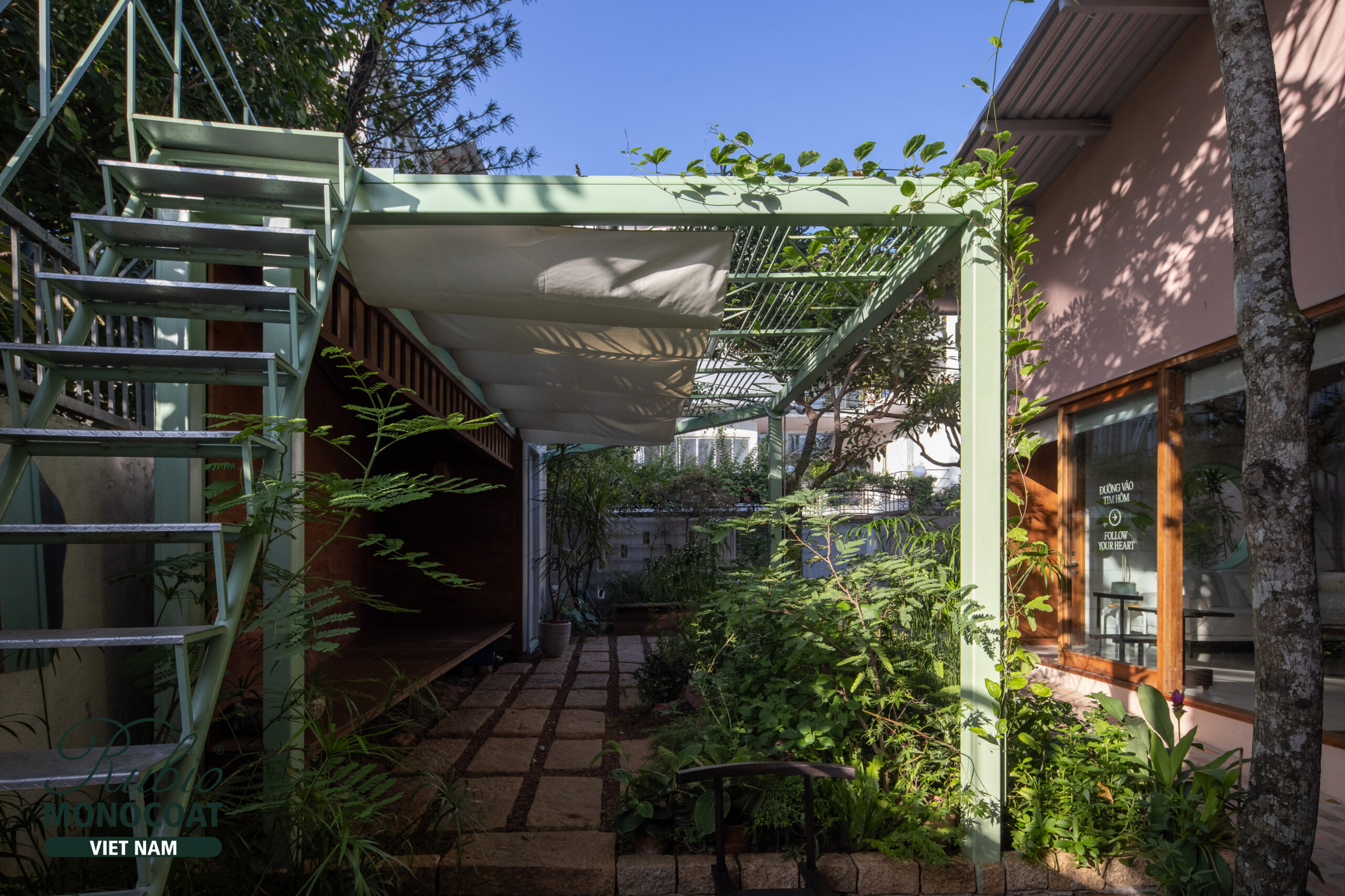 dầu lau gỗ - dino vũ