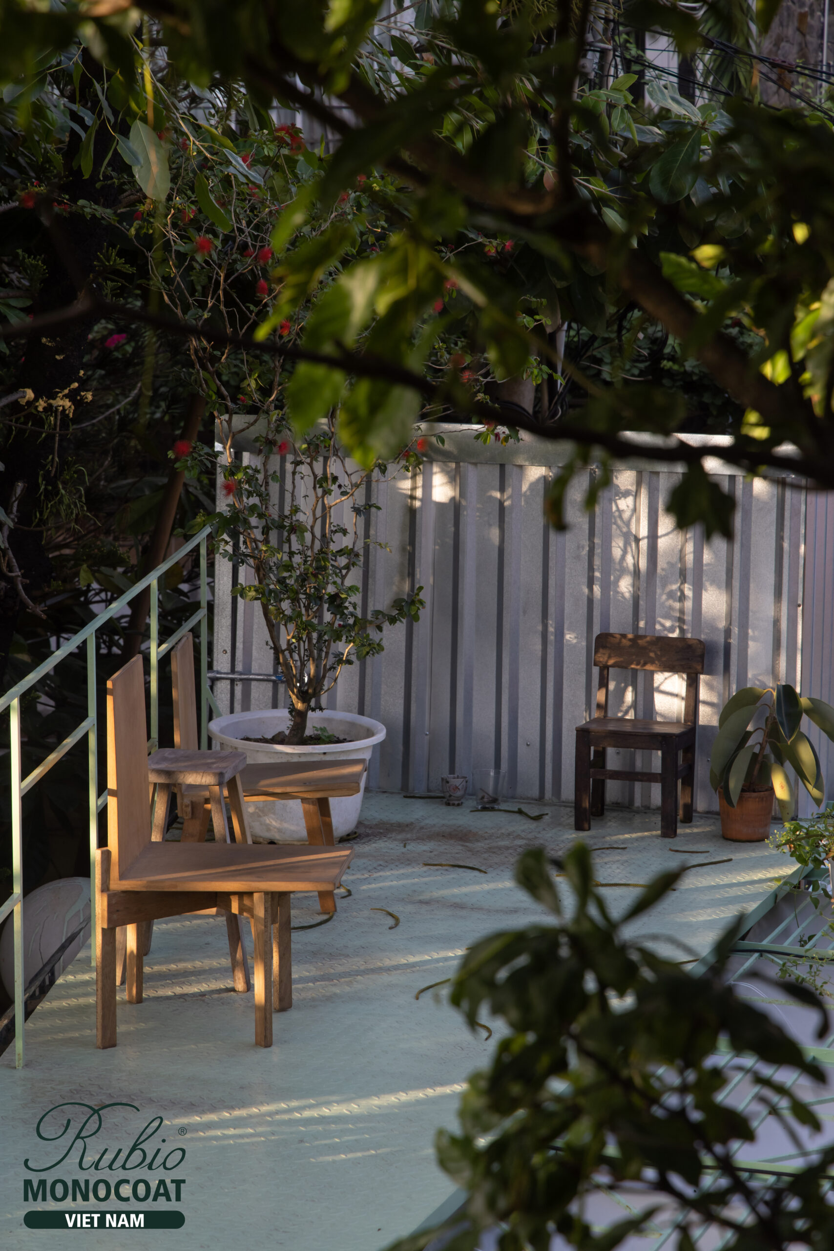 dầu lau gỗ - dino vũ