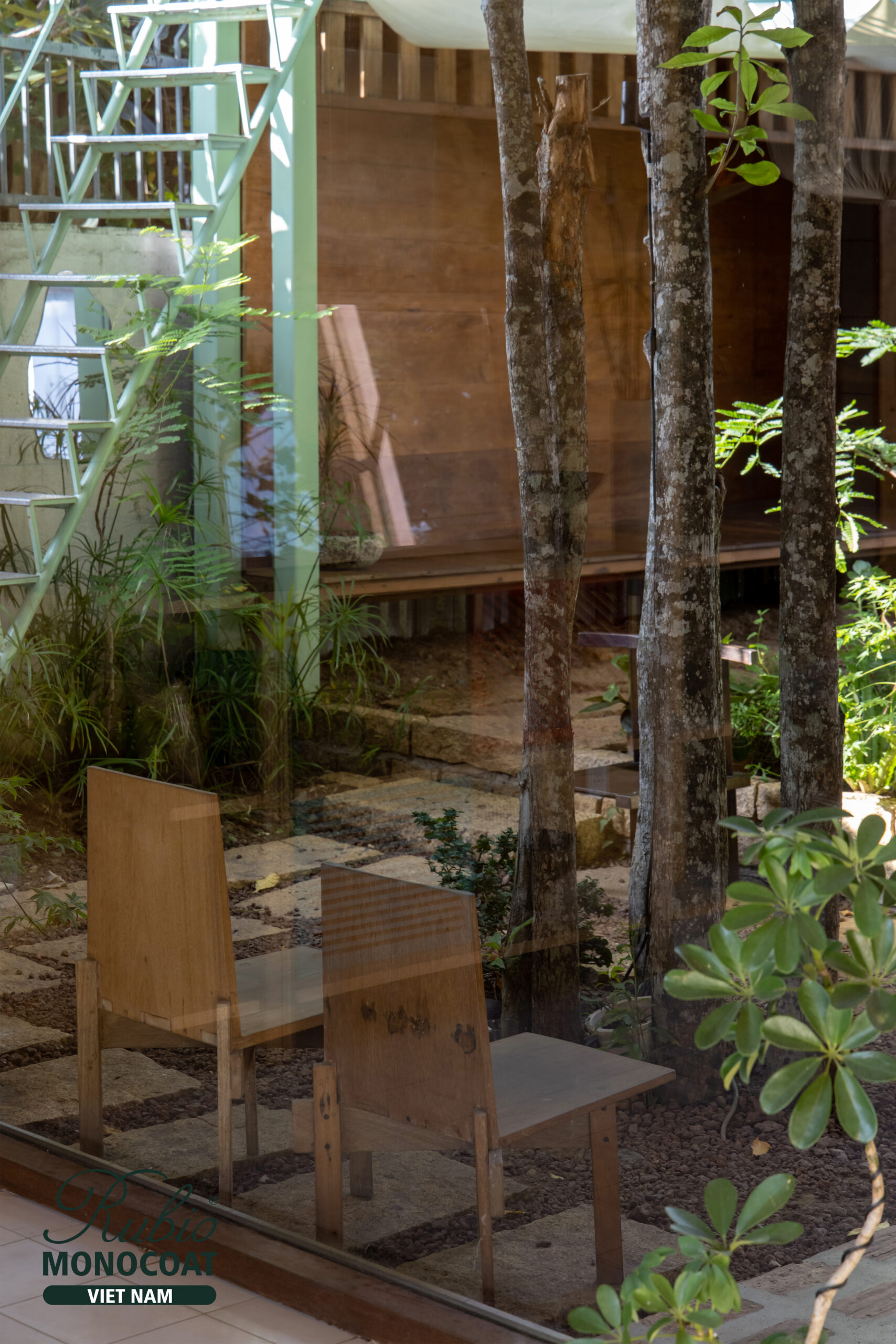 dầu lau gỗ - dino vũ