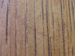 vết chà xoáy tròn